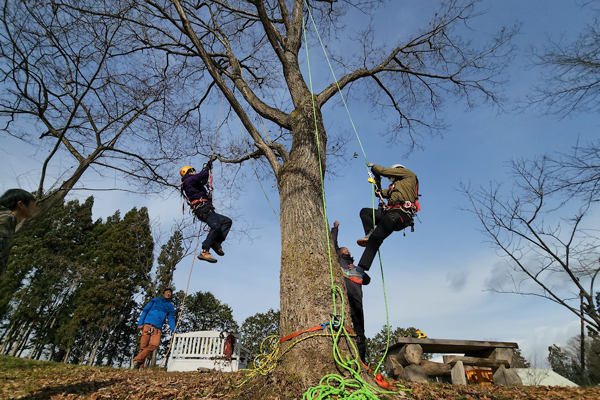 岩手サイクリングイメージ