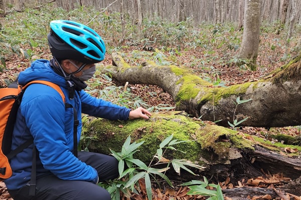 八幡平市イメージ