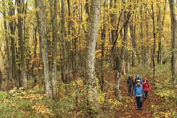 八幡平市イメージ