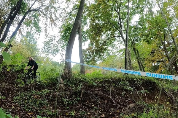 岩泉町イメージ