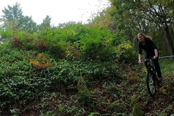 岩泉町イメージ