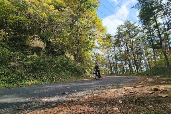 二戸市イメージ