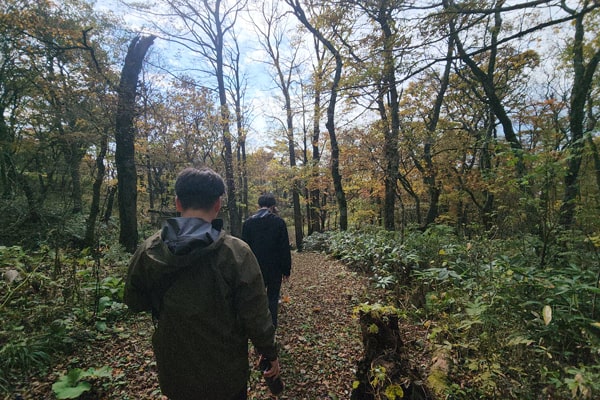 二戸市イメージ