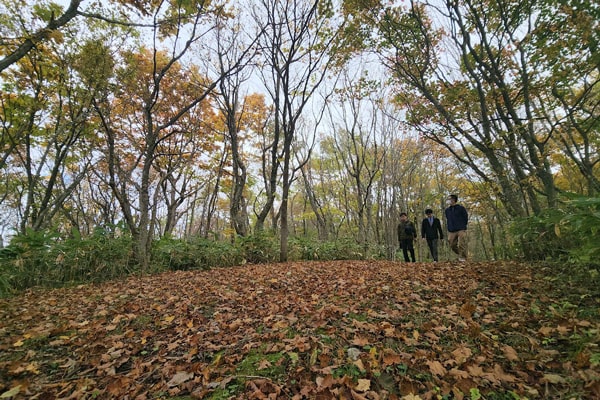 二戸市イメージ