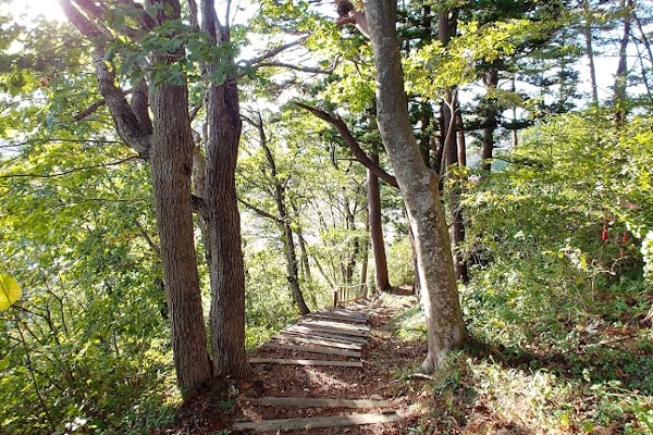 野田村イメージ