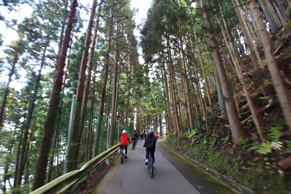 陸前高田市イメージ