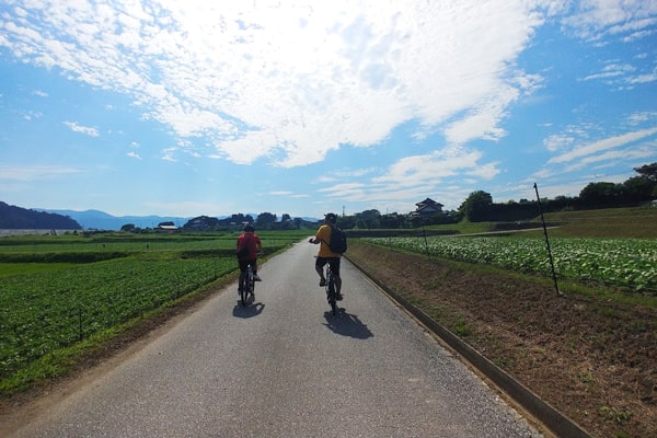 陸前高田市イメージ