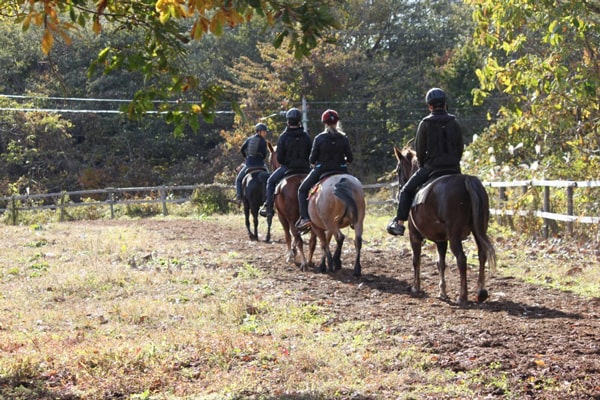 雫石町イメージ