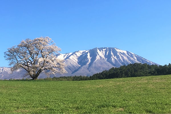 盛岡発 日帰りコース