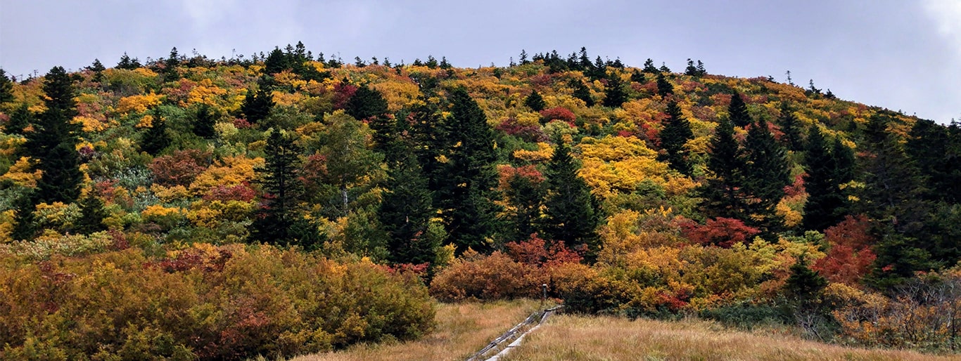 お山の学校　登山・トレッキング・ハイキング