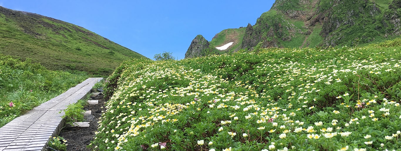 お山の学校　登山・トレッキング・ハイキング