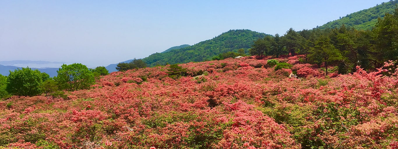 お山の学校　登山・トレッキング・ハイキング