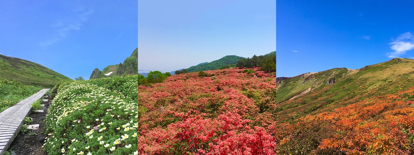 お山の学校　登山・トレッキング・ハイキング