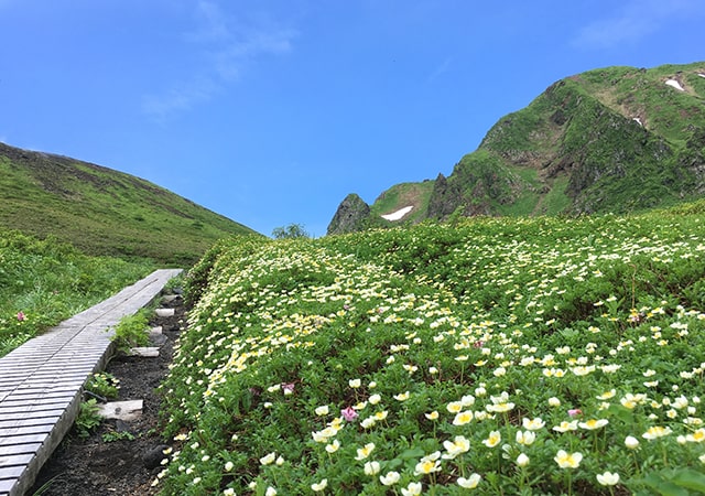お山の学校　登山・トレッキング・ハイキング