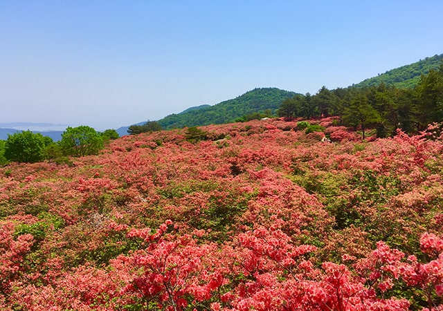 お山の学校　登山・トレッキング・ハイキング