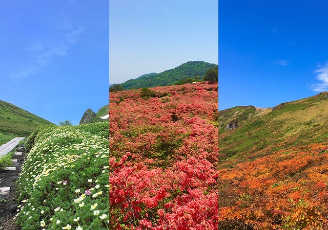 お山の学校　登山・トレッキング・ハイキング