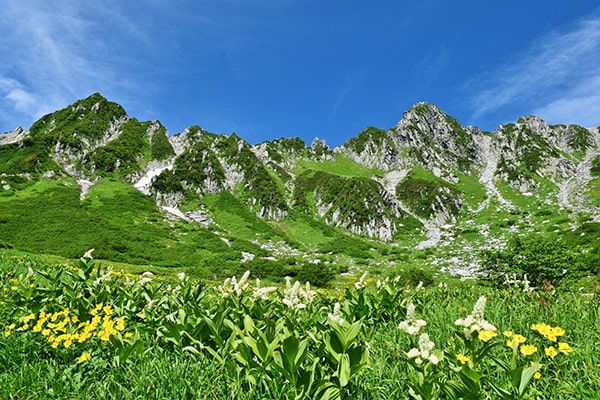 関東甲信越 富士山 宿泊コース