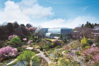 高知県立牧野植物園(イメージ)　画像提供：高知県観光コンベンション協会