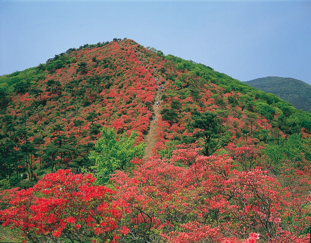 徳仙丈山・写真提供：宮城県観光課